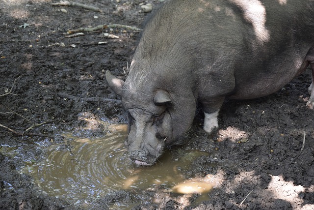 看球直播_看球直播 - 提供NBA、英超、CBA等体育赛事的超清直播，极速加载，畅享无与伦比的观赛体验！